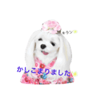くぅちゃんファッションスタンプpart2（個別スタンプ：20）