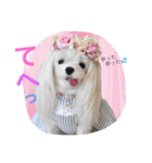 くぅちゃんファッションスタンプpart2（個別スタンプ：22）