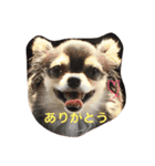いたるぱpart1.（個別スタンプ：14）