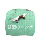 南山町在住 ハナ（個別スタンプ：5）
