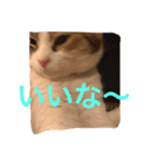 南山町在住 ハナ（個別スタンプ：9）