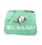 南山町在住 ハナ（個別スタンプ：11）