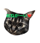 荒削り！気ままワガママお嬢様 猫のもなか（個別スタンプ：2）