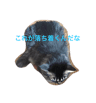 荒削り！気ままワガママお嬢様 猫のもなか（個別スタンプ：6）