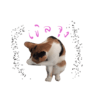 Mo - Che（個別スタンプ：2）