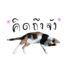 Mo - Che（個別スタンプ：3）