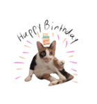 Mo - Che（個別スタンプ：4）