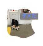 武蔵野団（個別スタンプ：4）