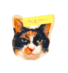 うちのにゃんこ知りませんか？（個別スタンプ：1）