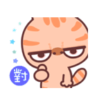 A cat it is unhappy 3（個別スタンプ：19）