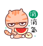 A cat it is unhappy 3（個別スタンプ：21）