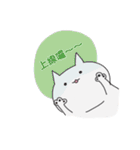 Surprise！！ Stupid cat coming！！ NO.3！！（個別スタンプ：5）