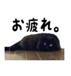 我が家の黒猫のクロ（個別スタンプ：25）