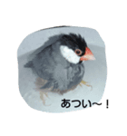 ぴこちゃん（個別スタンプ：7）