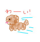 左しか向けない犬（個別スタンプ：2）