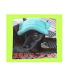 日常の用語2（個別スタンプ：1）