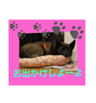 日常の用語2（個別スタンプ：2）