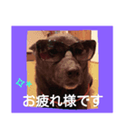 日常の用語2（個別スタンプ：4）