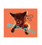 日常の用語2（個別スタンプ：5）