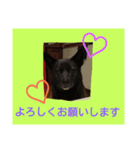 日常の用語2（個別スタンプ：7）