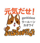 甘えん坊な犬日本語タイ語（個別スタンプ：12）