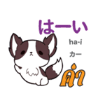 甘えん坊な犬日本語タイ語（個別スタンプ：23）