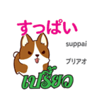 料理が上手な犬日本語タイ語（個別スタンプ：3）