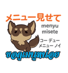 料理が上手な犬日本語タイ語（個別スタンプ：17）