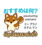 料理が上手な犬日本語タイ語（個別スタンプ：19）