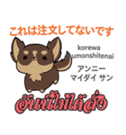 料理が上手な犬日本語タイ語（個別スタンプ：27）