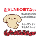 料理が上手な犬日本語タイ語（個別スタンプ：31）