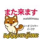 料理が上手な犬日本語タイ語（個別スタンプ：34）