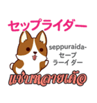 料理が上手な犬日本語タイ語（個別スタンプ：38）