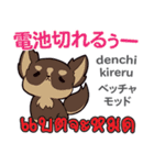 セクシーな犬日本語タイ語（個別スタンプ：1）