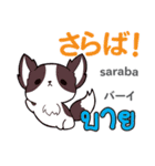 セクシーな犬日本語タイ語（個別スタンプ：3）
