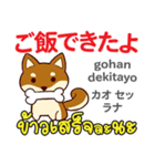 セクシーな犬日本語タイ語（個別スタンプ：5）