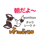 セクシーな犬日本語タイ語（個別スタンプ：8）