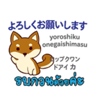 セクシーな犬日本語タイ語（個別スタンプ：25）