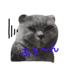 るーちゃんだよ。（個別スタンプ：3）