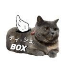 るーちゃんだよ。（個別スタンプ：16）
