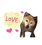 ハナちゃん❤︎（個別スタンプ：4）
