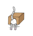 PANMEOW-2（個別スタンプ：2）