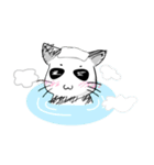 PANMEOW-2（個別スタンプ：12）
