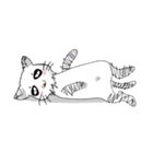 PANMEOW-2（個別スタンプ：13）