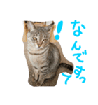 りんです（個別スタンプ：1）