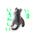 りんです（個別スタンプ：7）