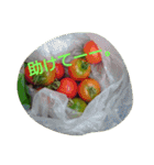 私の気持ち。3（個別スタンプ：1）