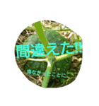 私の気持ち。3（個別スタンプ：2）