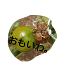 私の気持ち。3（個別スタンプ：4）