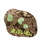 私の気持ち。3（個別スタンプ：6）